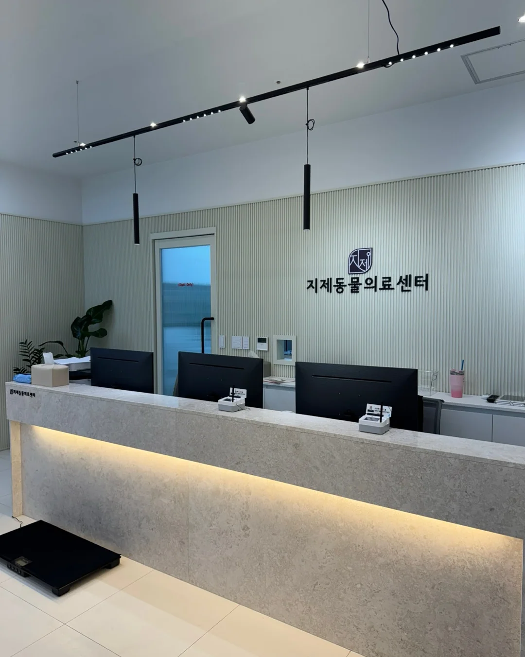 리뷰 사진 1