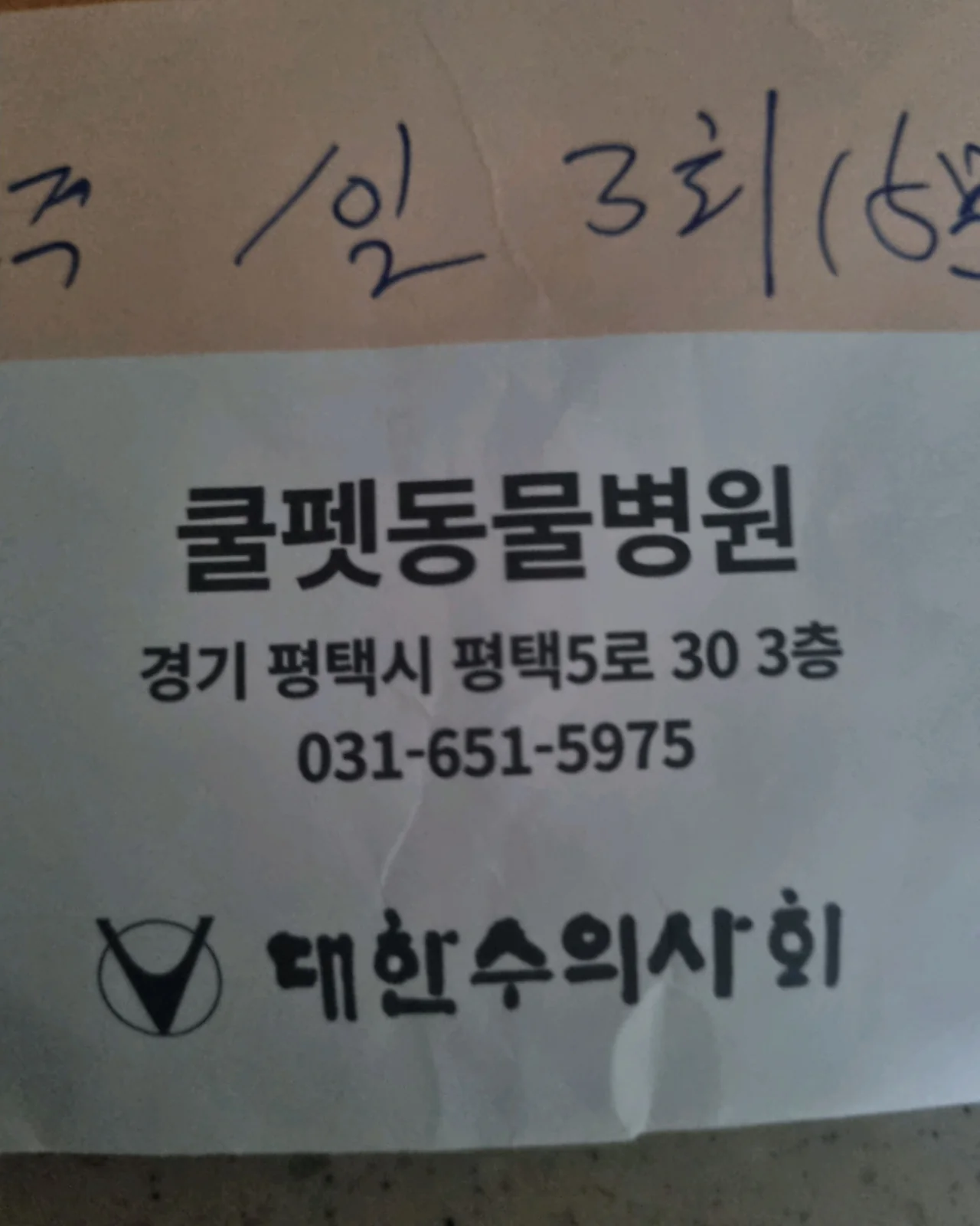 쿨펫동물병원 사진 2
