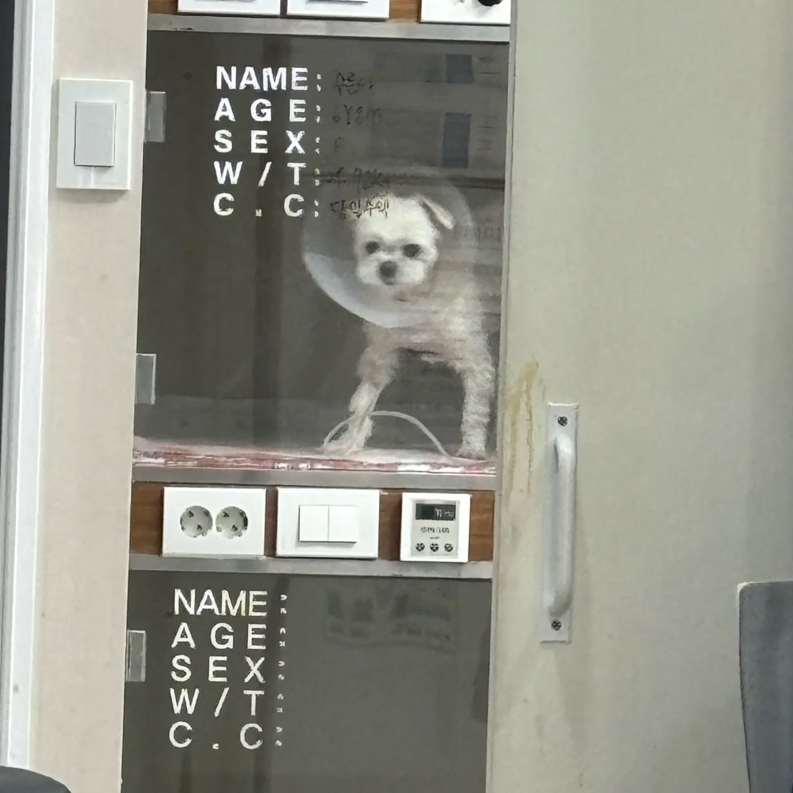 리뷰 사진 1