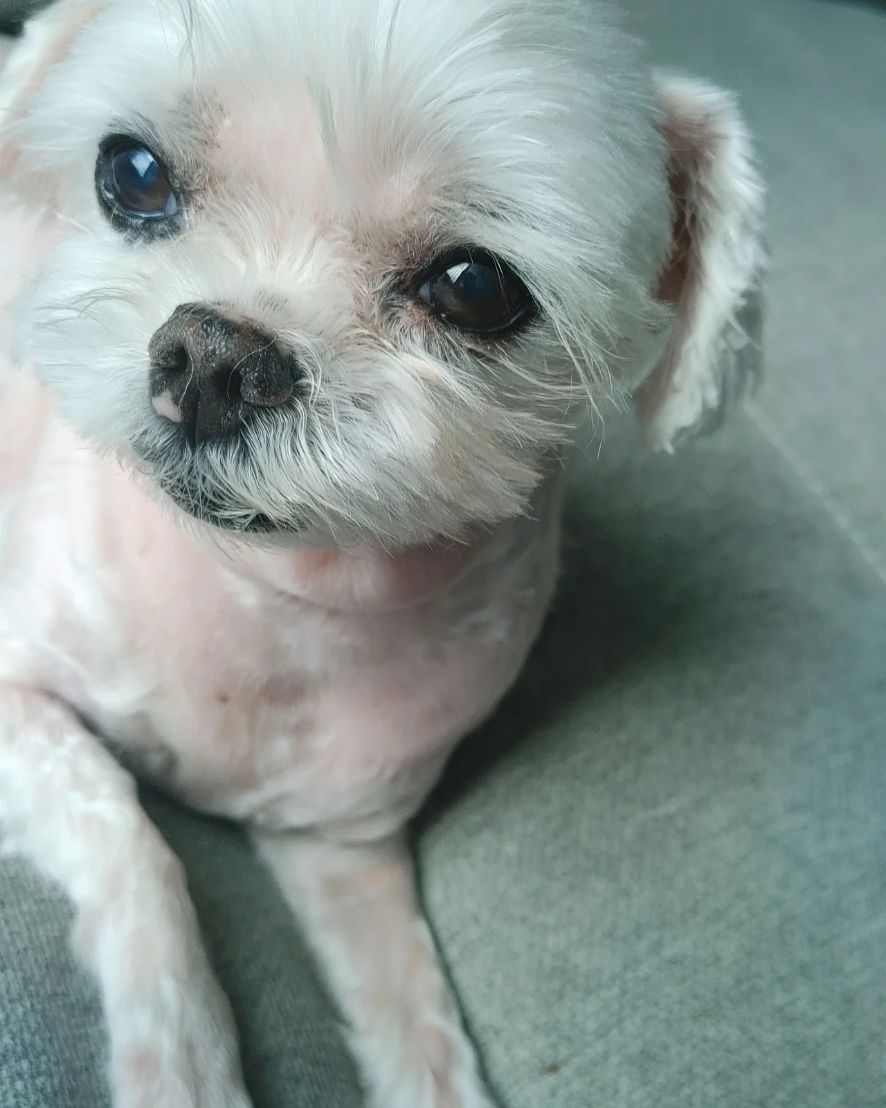 리뷰 사진 1