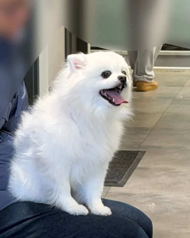 리뷰 사진 1