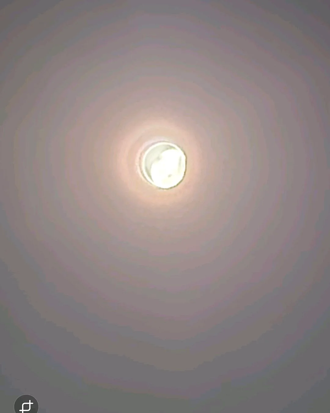 리뷰 사진 2