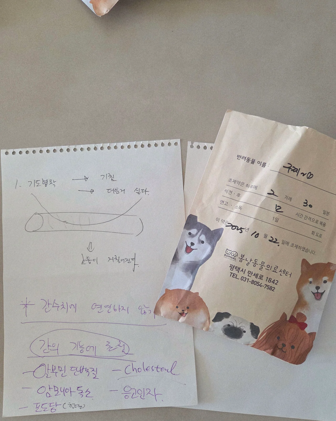 리뷰 사진 2