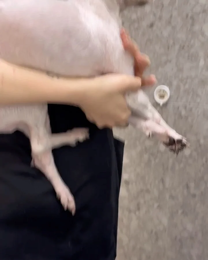 리뷰 사진 1