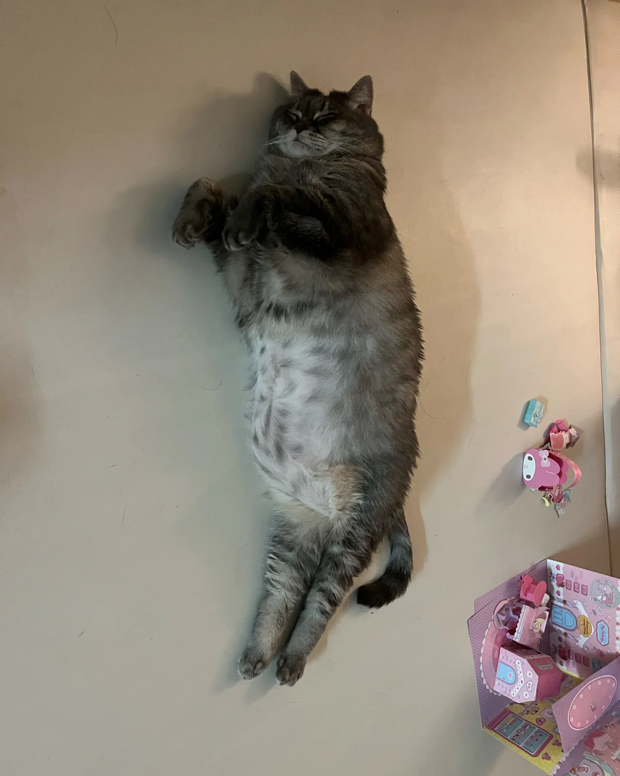 리뷰 사진 1