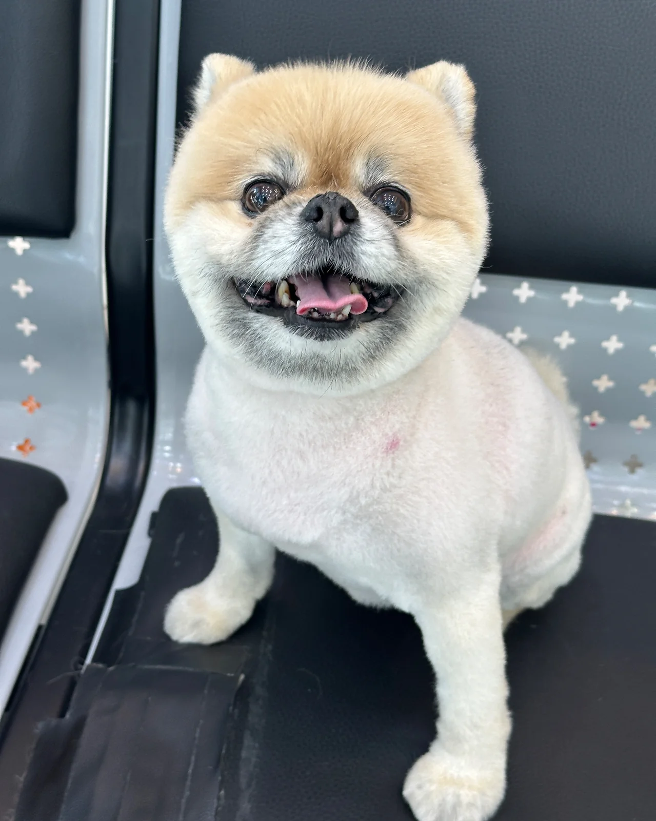 리뷰 사진 2