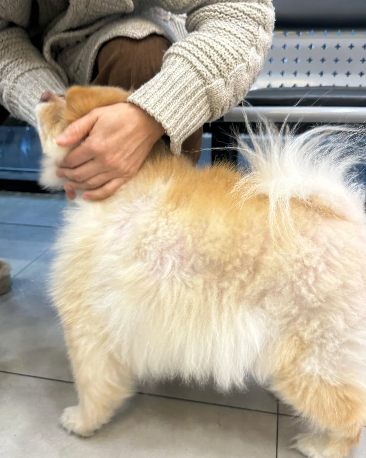 리뷰 사진 3
