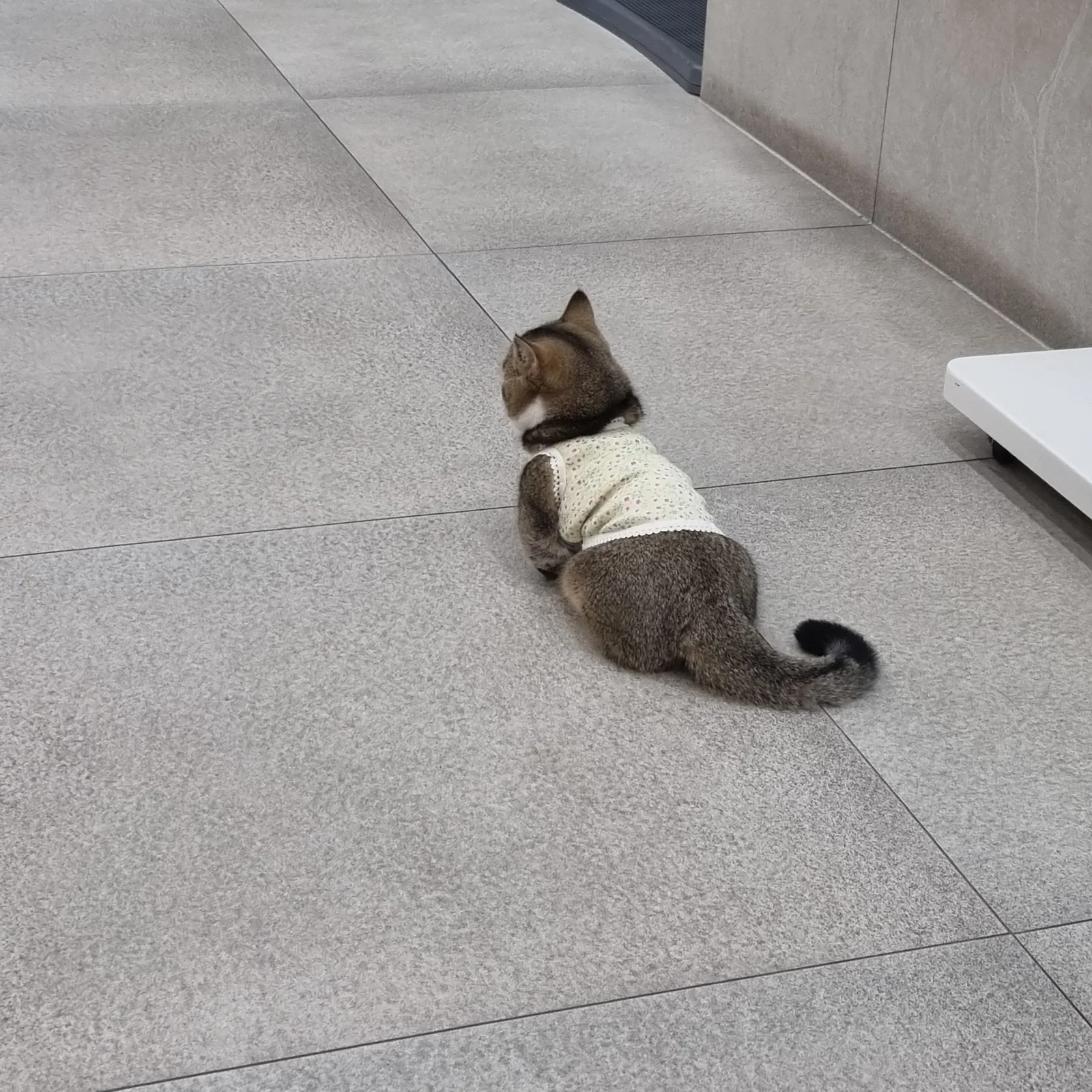 리뷰 사진 1