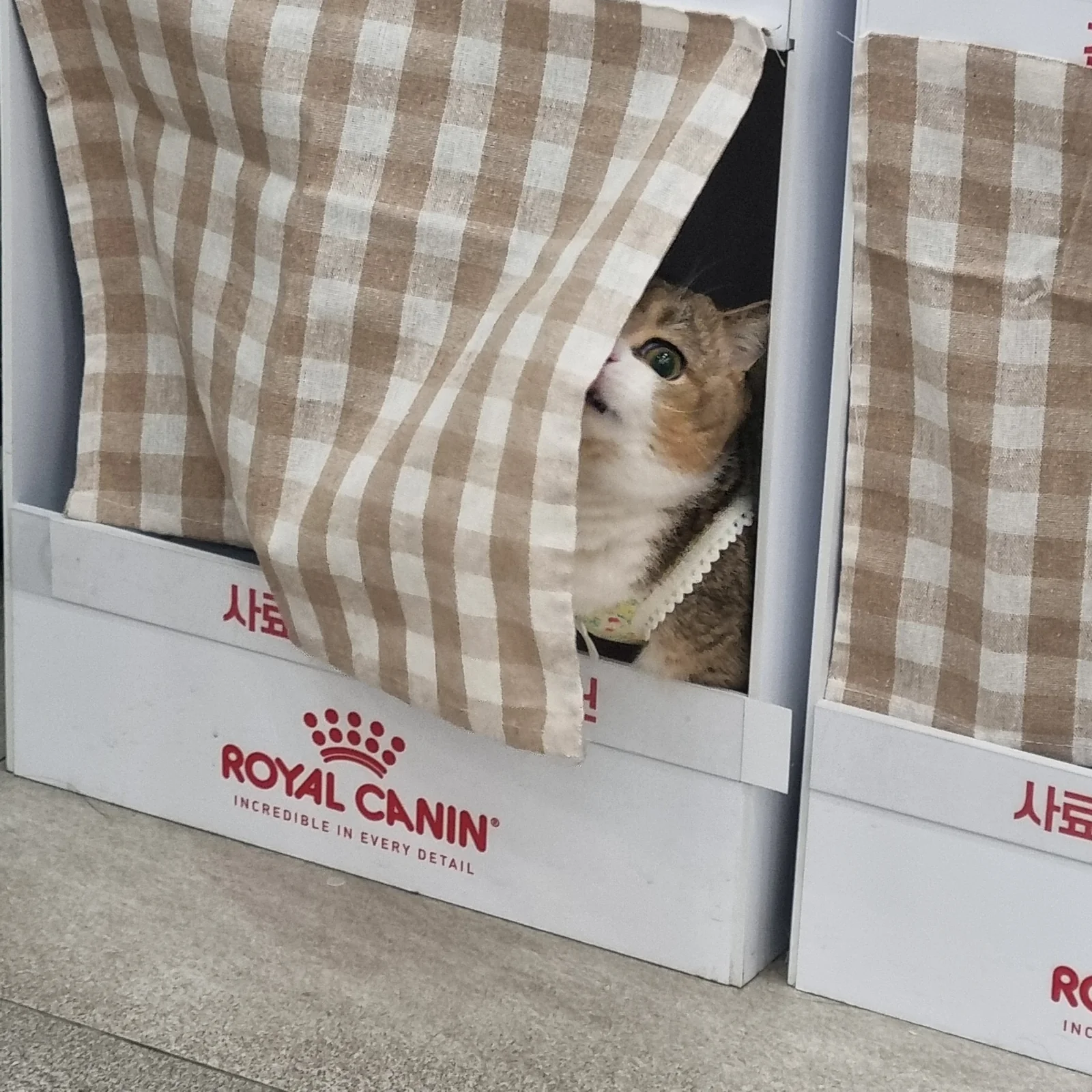 리뷰 사진 2