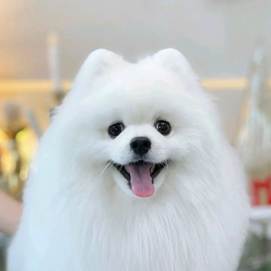 리뷰 사진 1