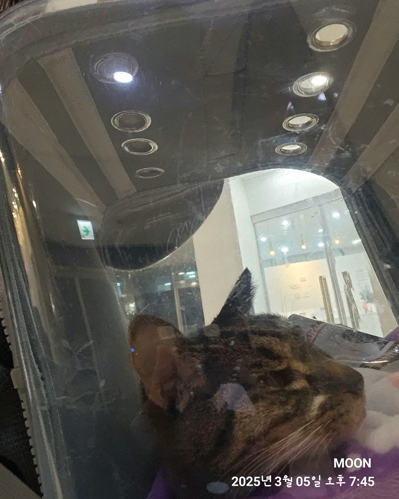 리뷰 사진 1