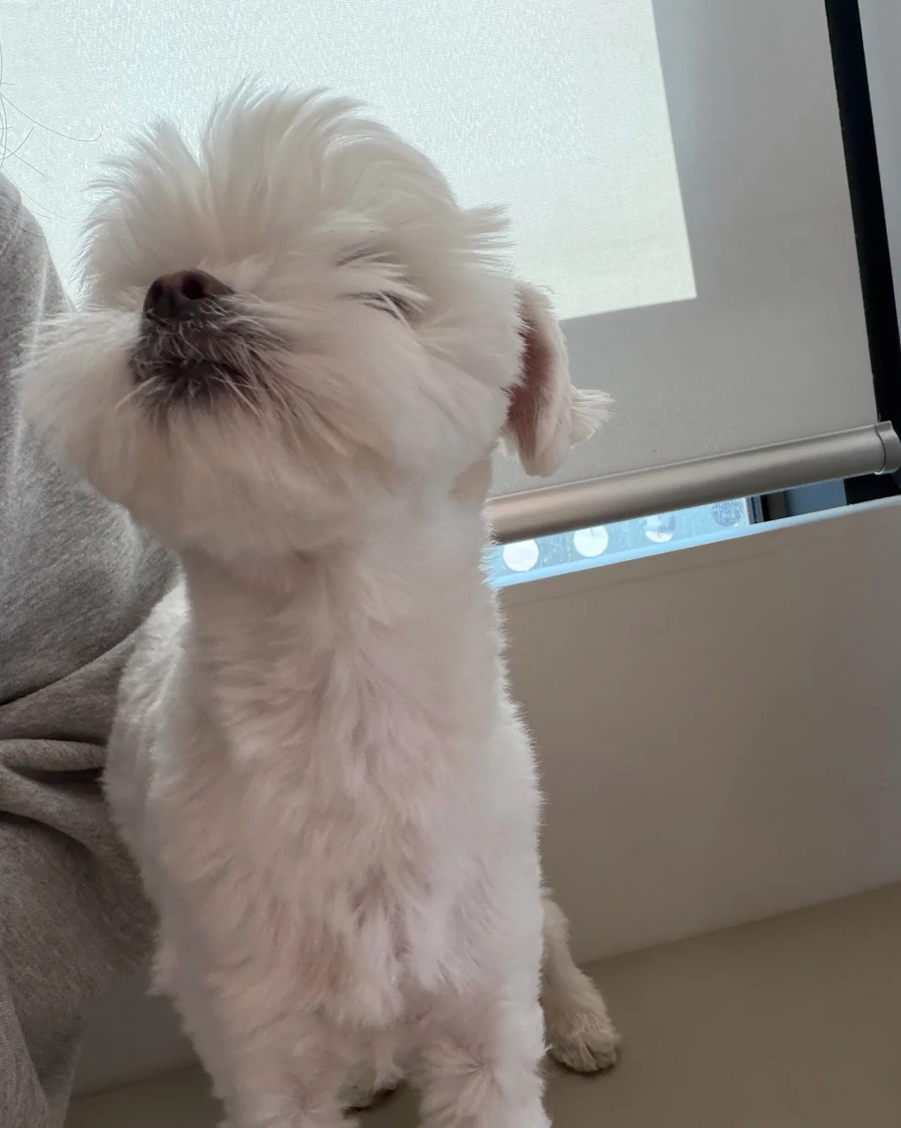 리뷰 사진 1