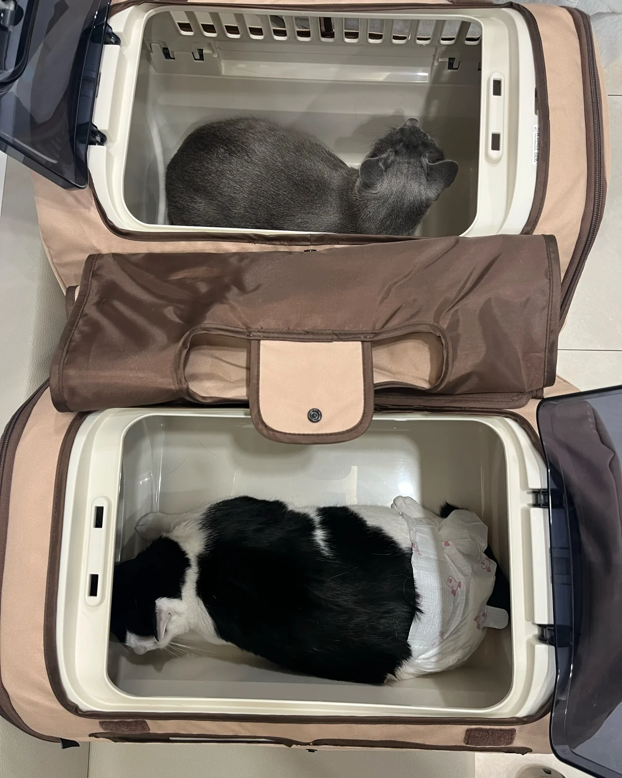 리뷰 사진 1