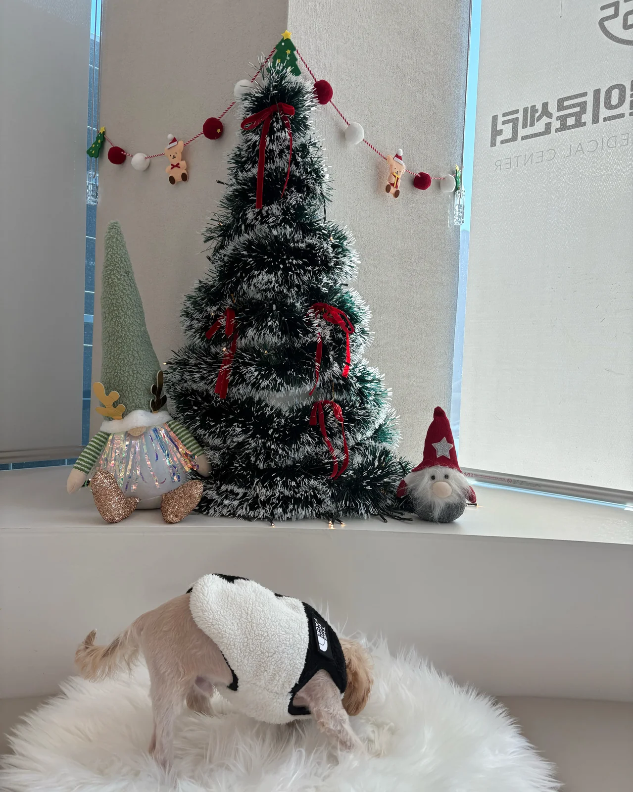 리뷰 사진 2