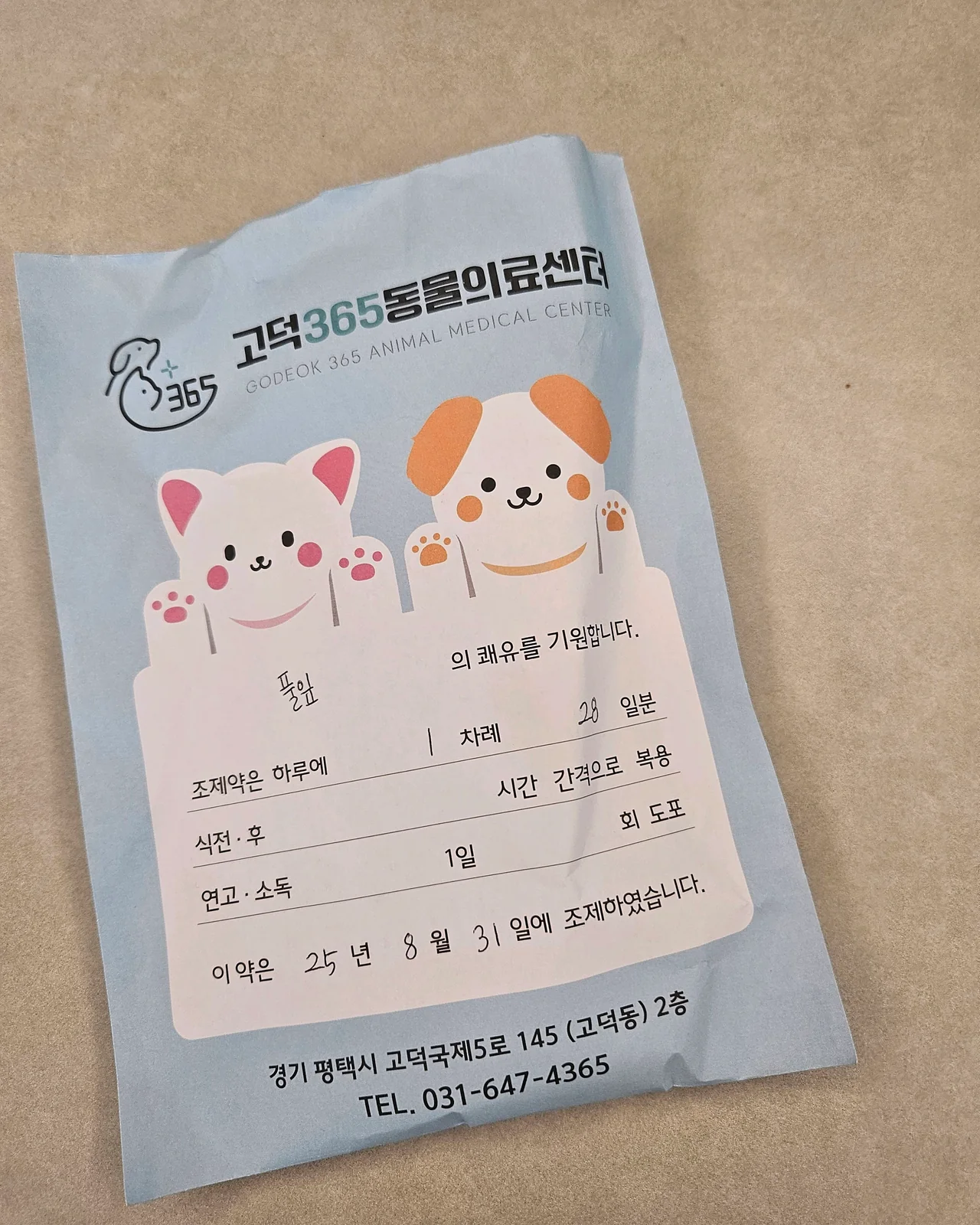 리뷰 사진 2