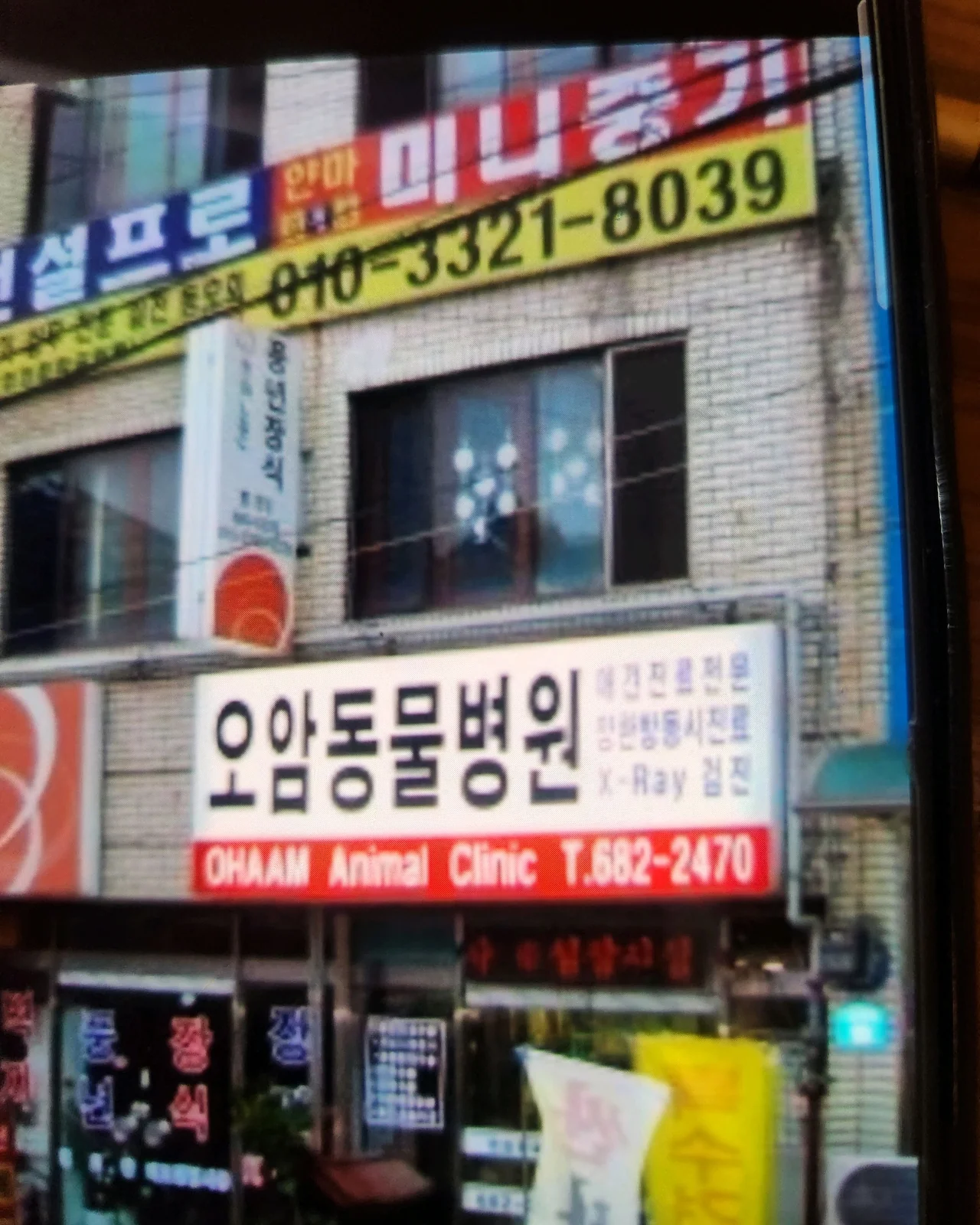 오암동물병원 사진 2