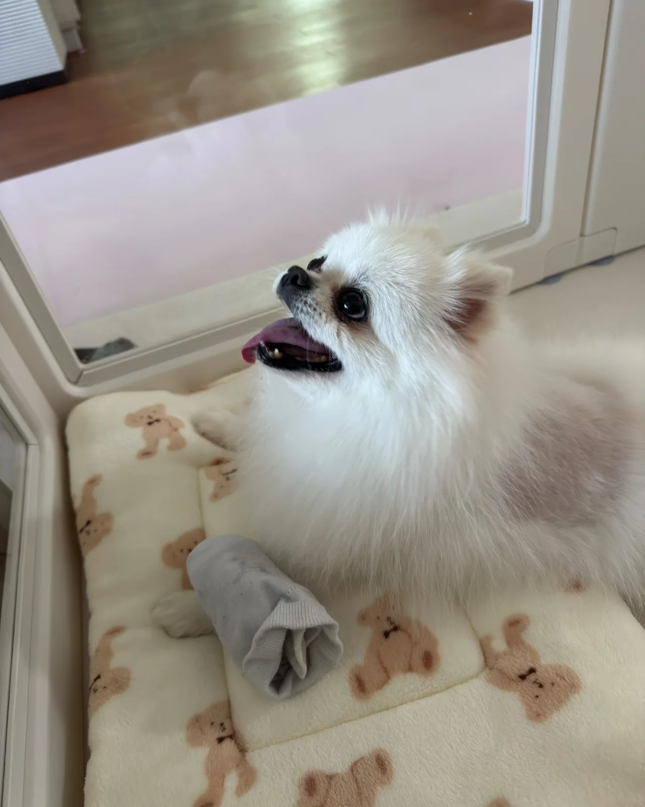 리뷰 사진 1