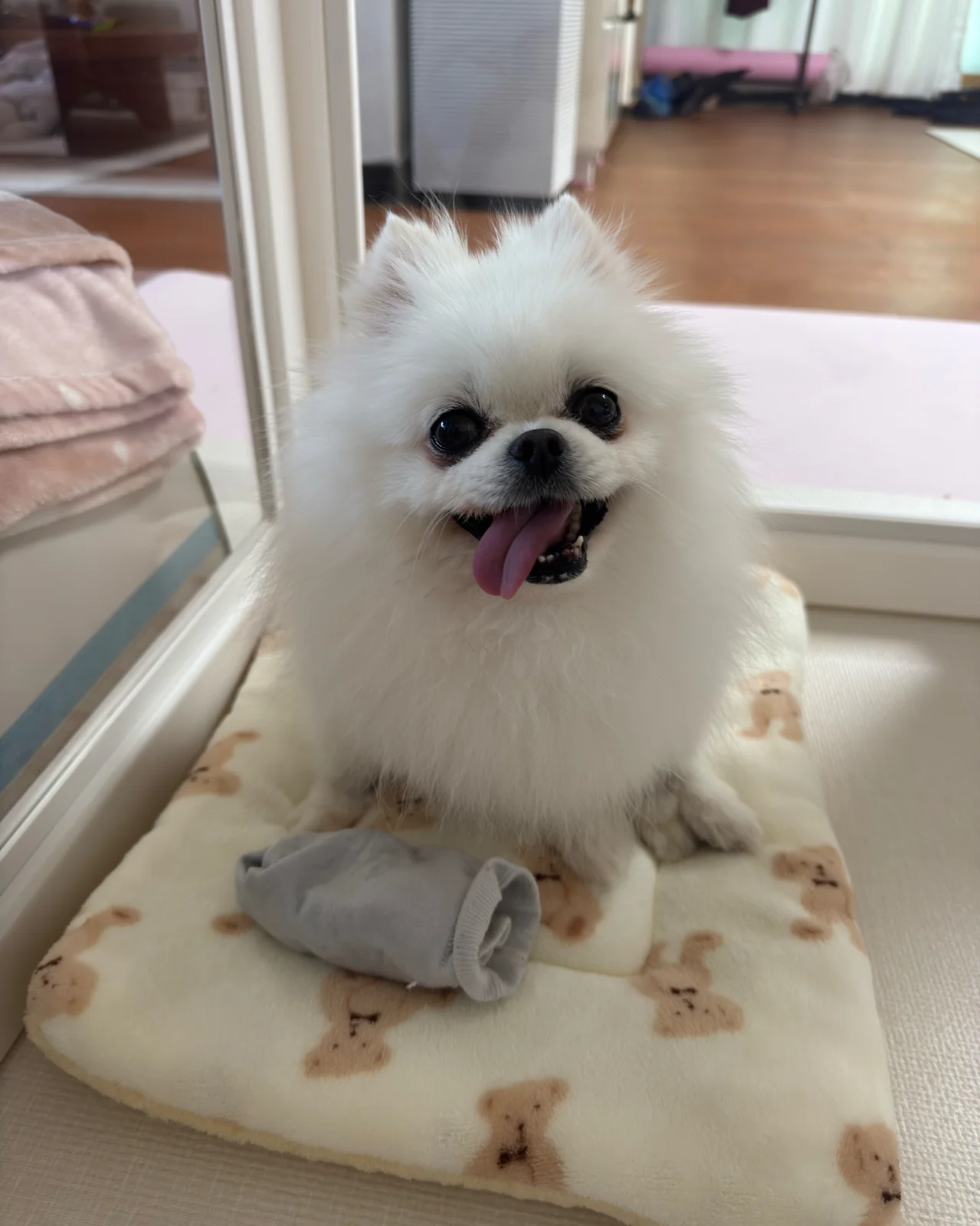 리뷰 사진 2