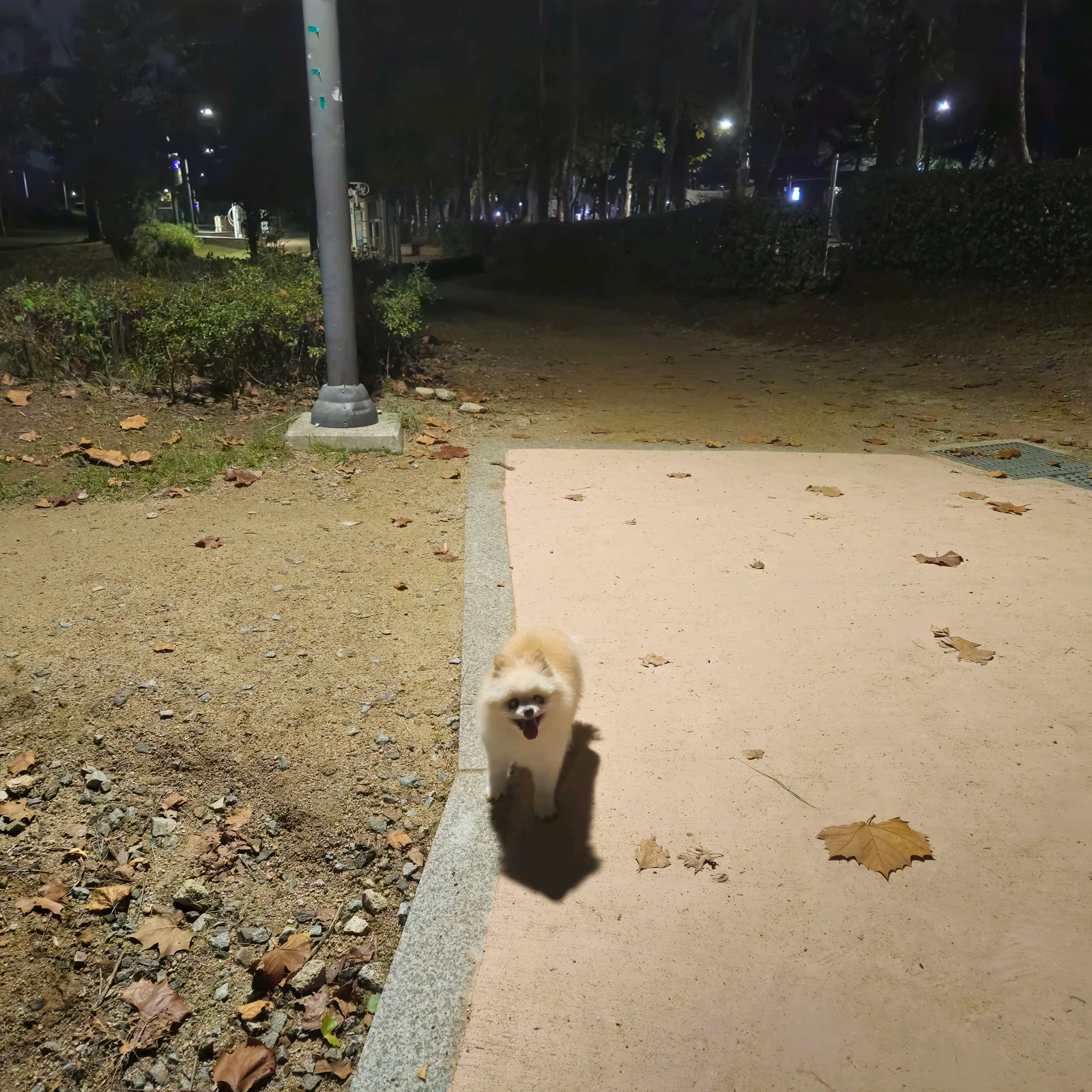리뷰 사진 1