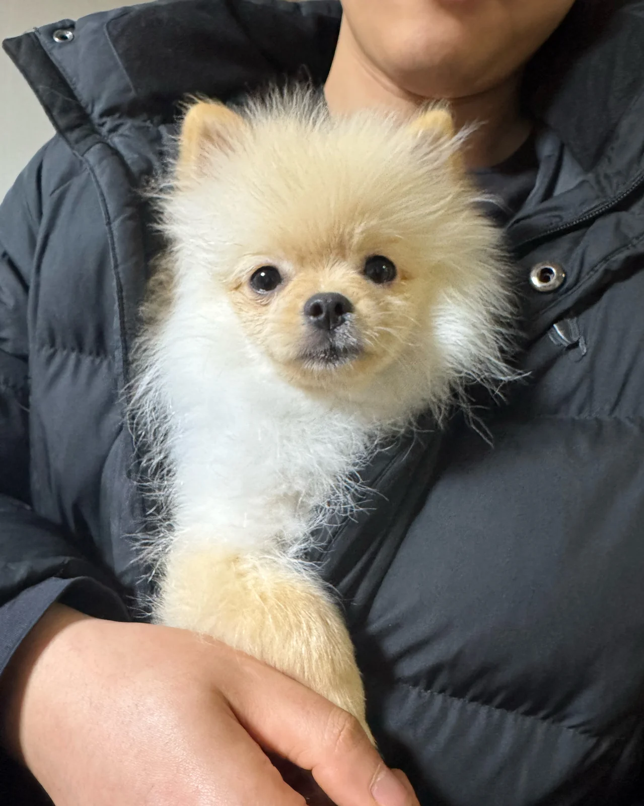 리뷰 사진 1