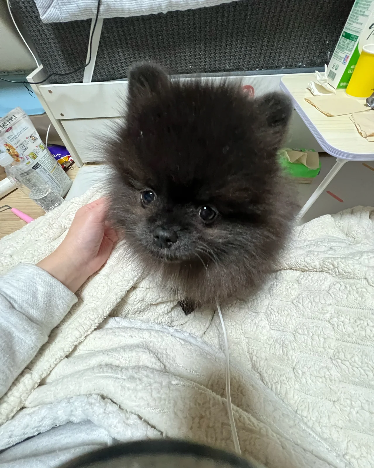 리뷰 사진 3