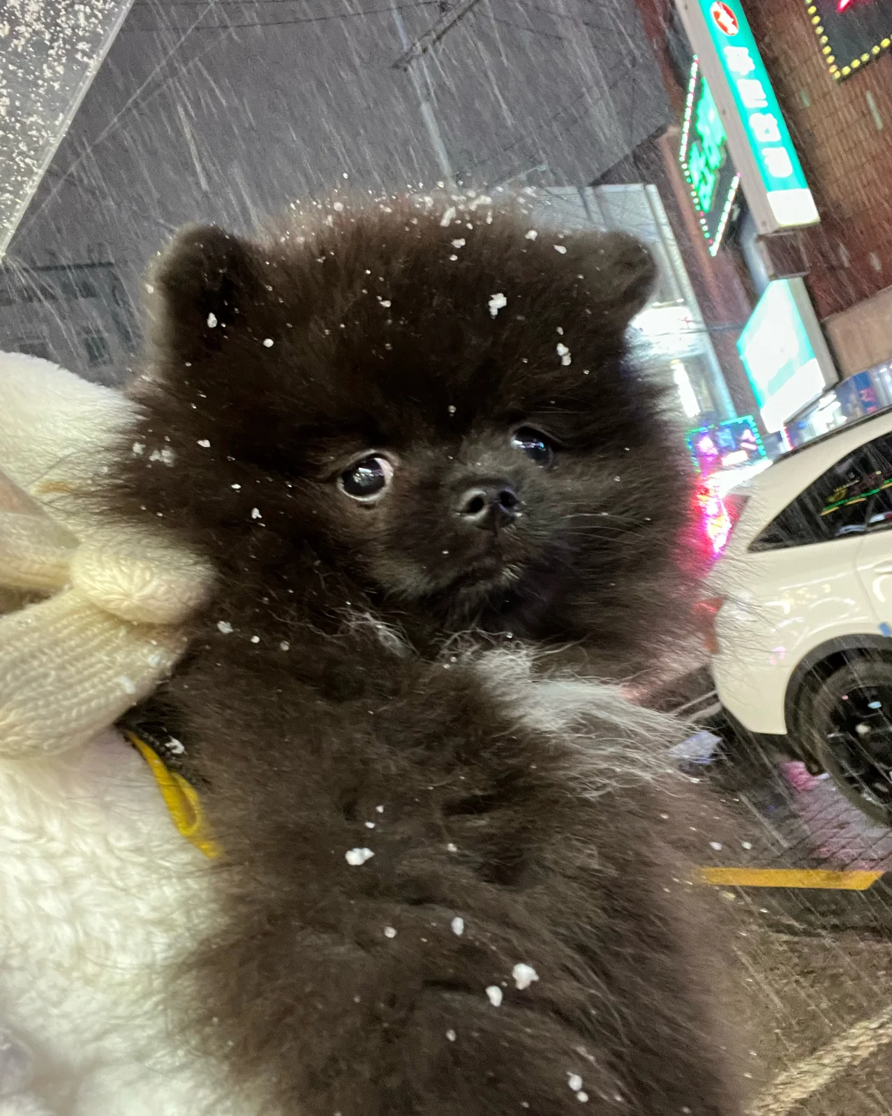 리뷰 사진 4