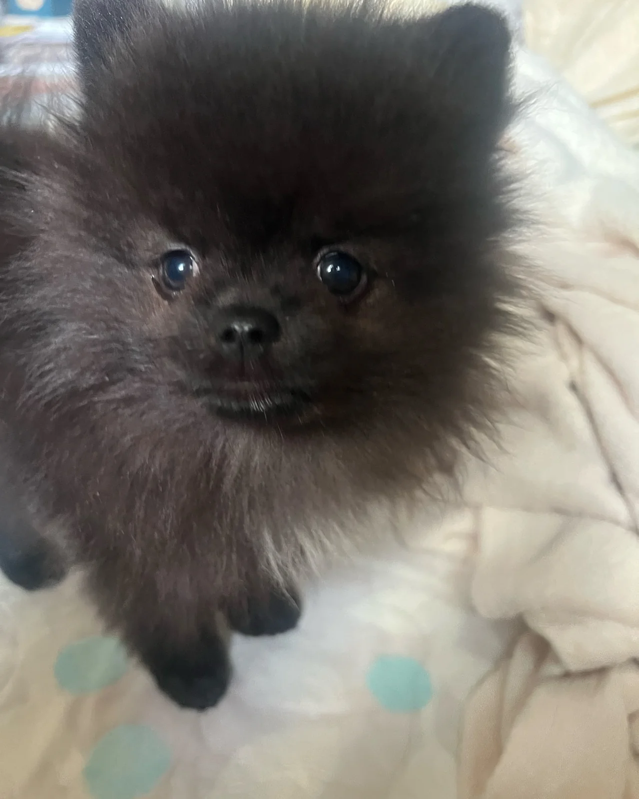 리뷰 사진 5