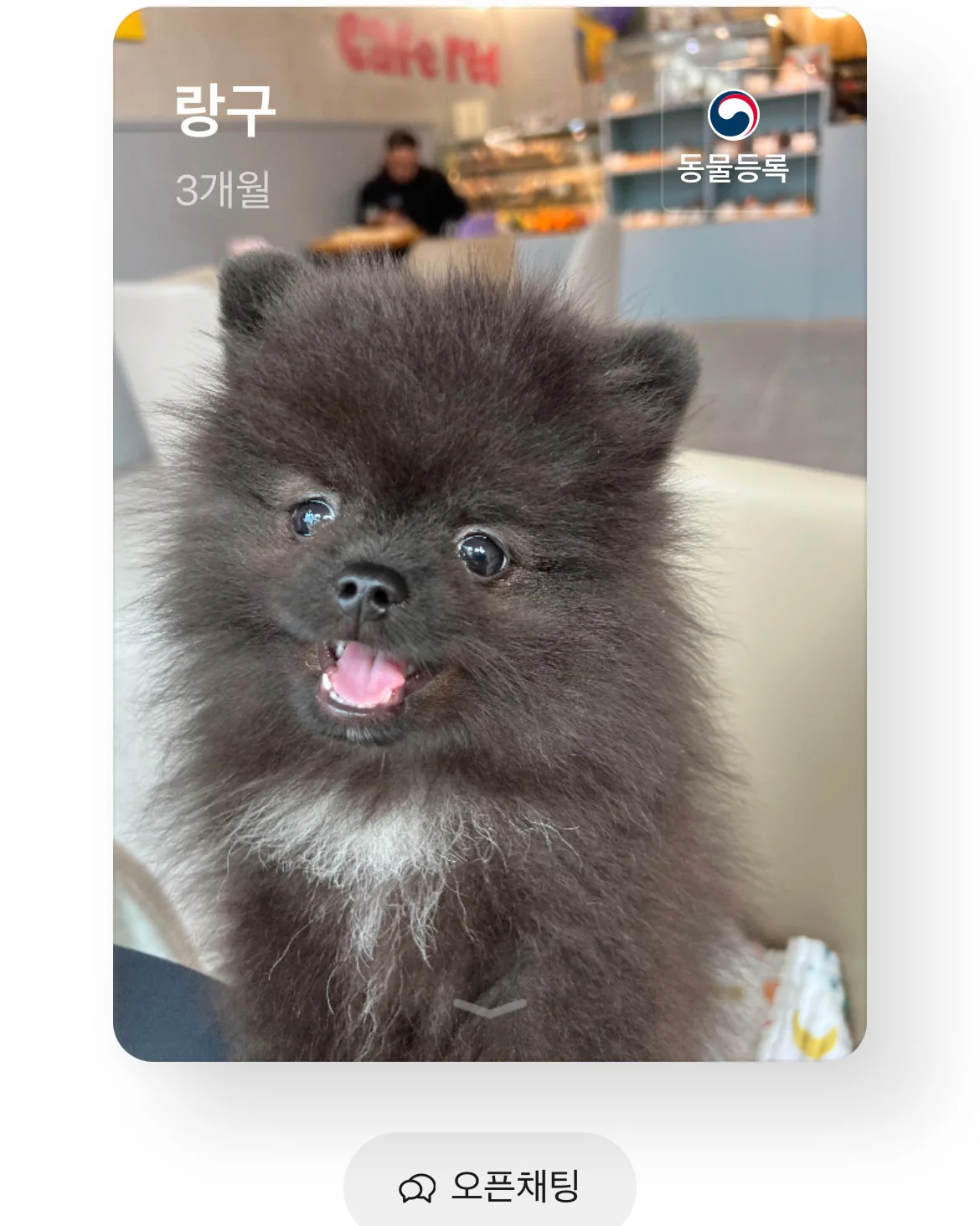 리뷰 사진 6