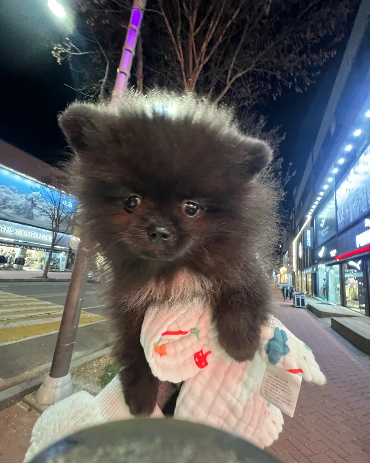 리뷰 사진 7