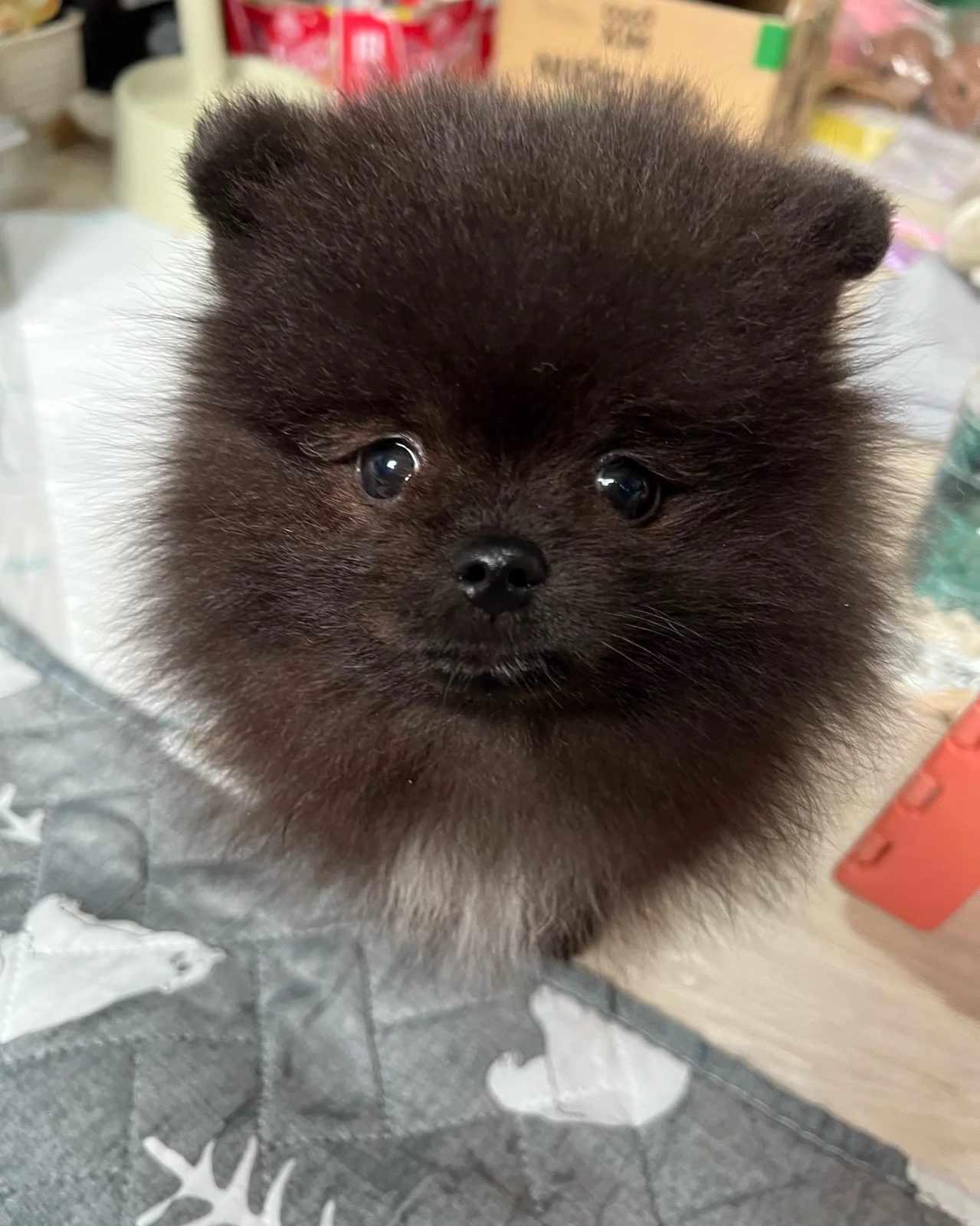 리뷰 사진 2