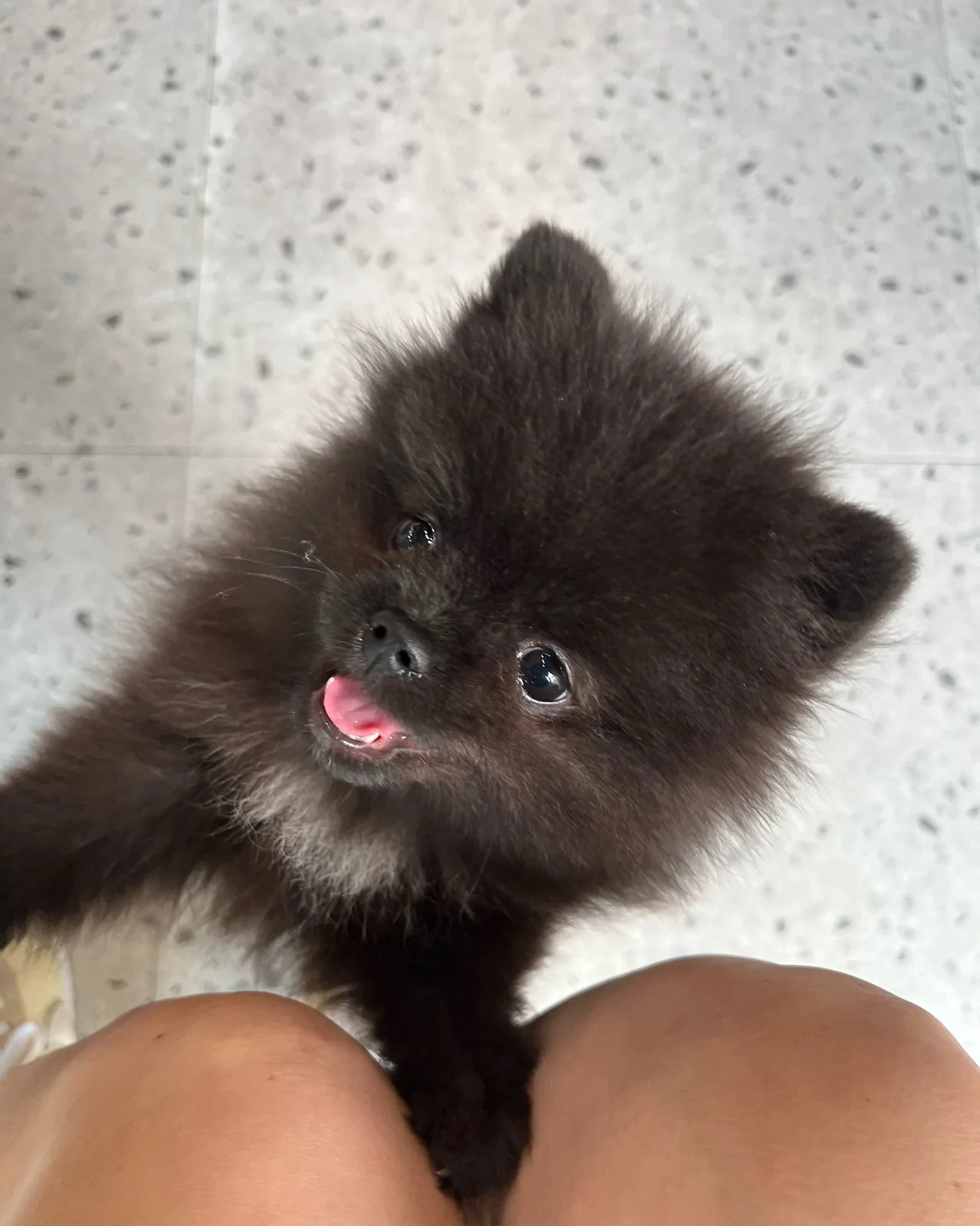 리뷰 사진 5