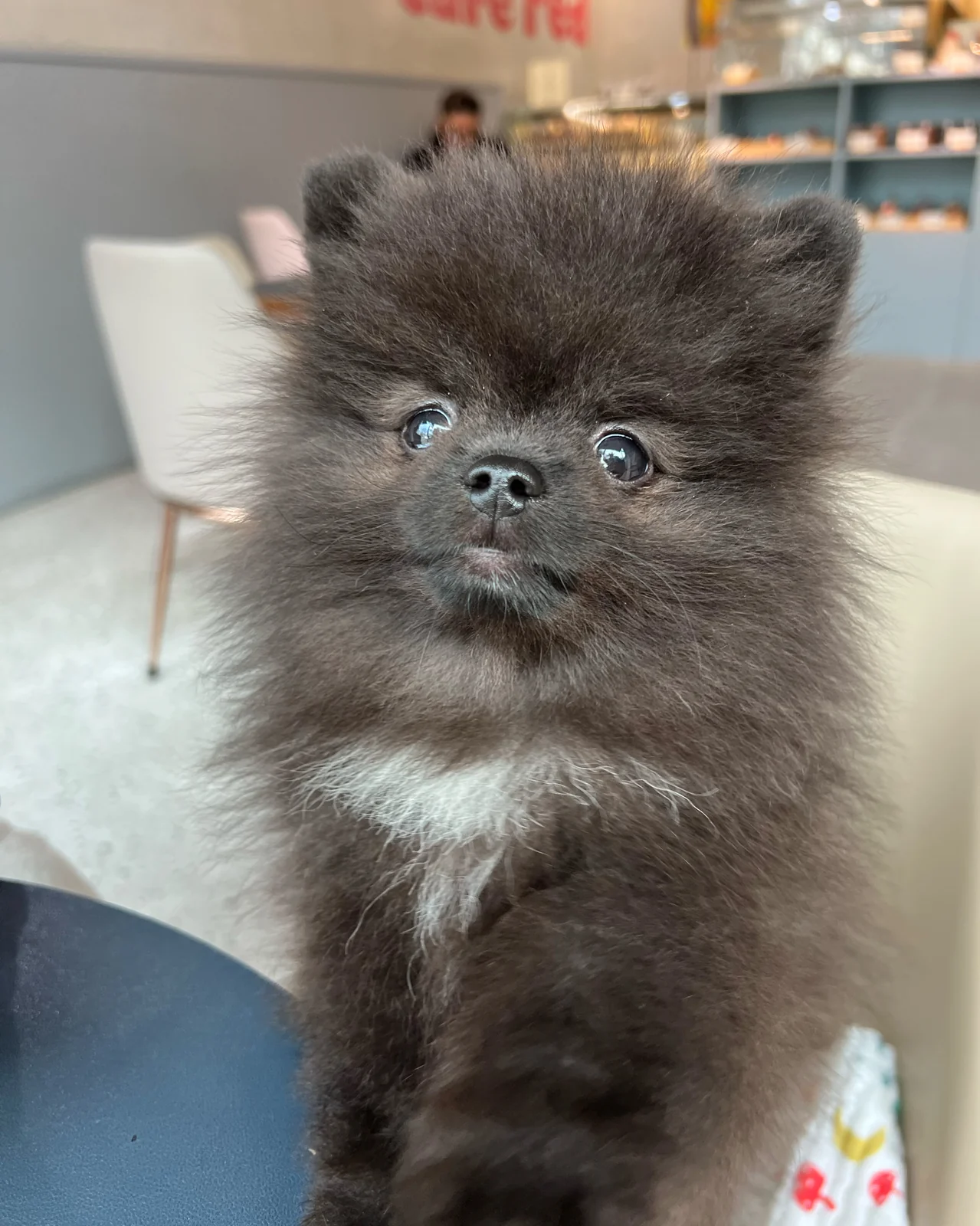 리뷰 사진 7