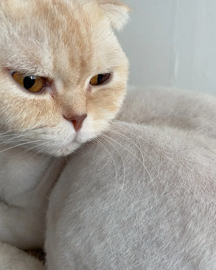 리뷰 사진 1