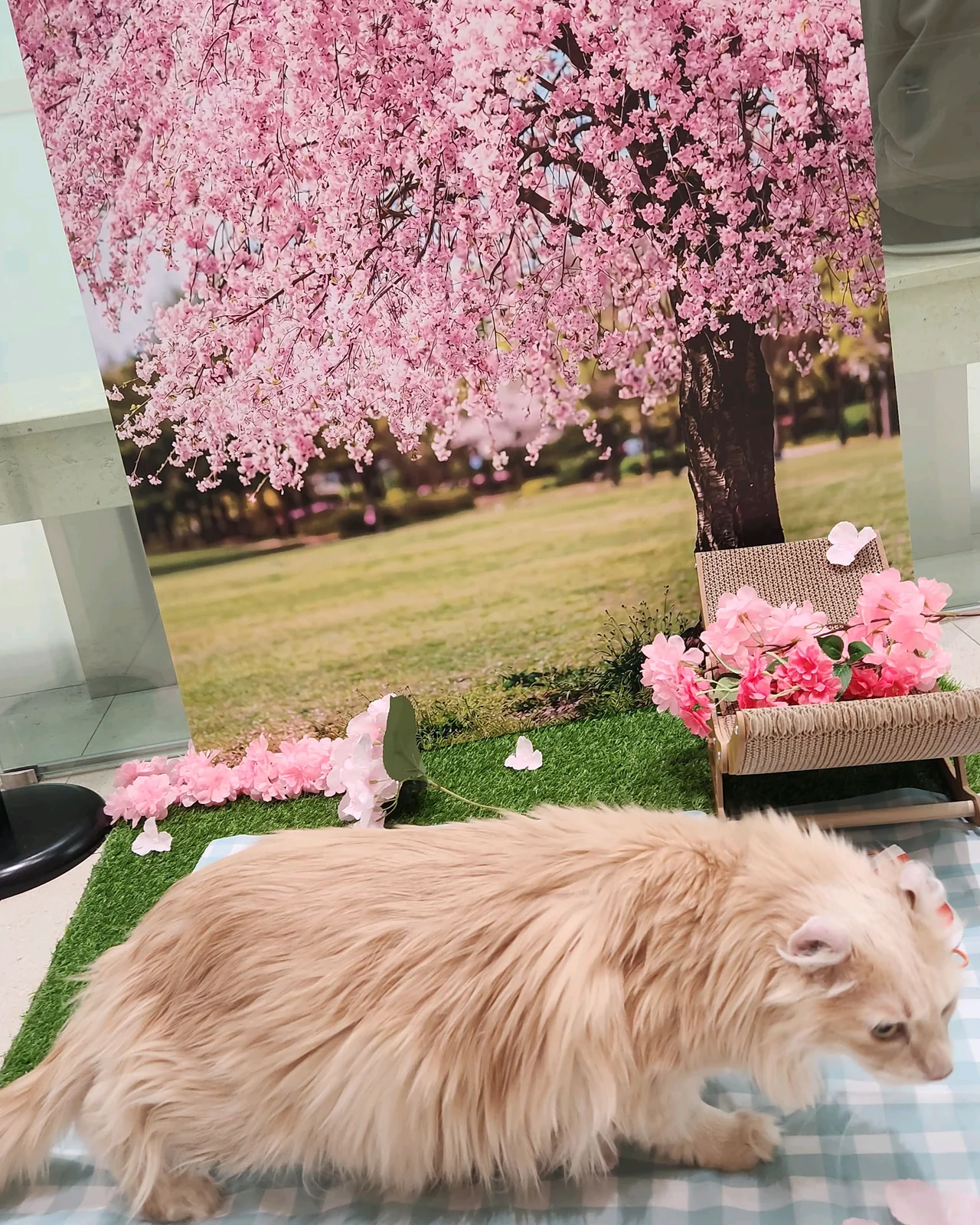 리뷰 사진 2