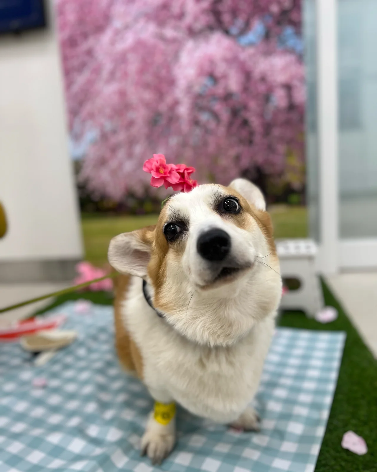 리뷰 사진 1