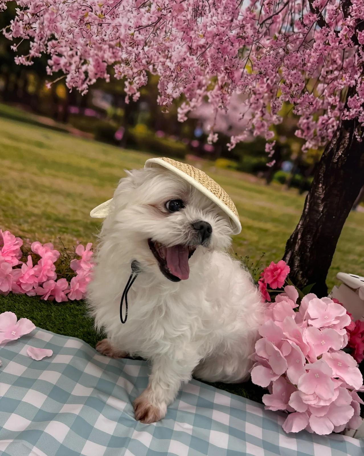 리뷰 사진 1