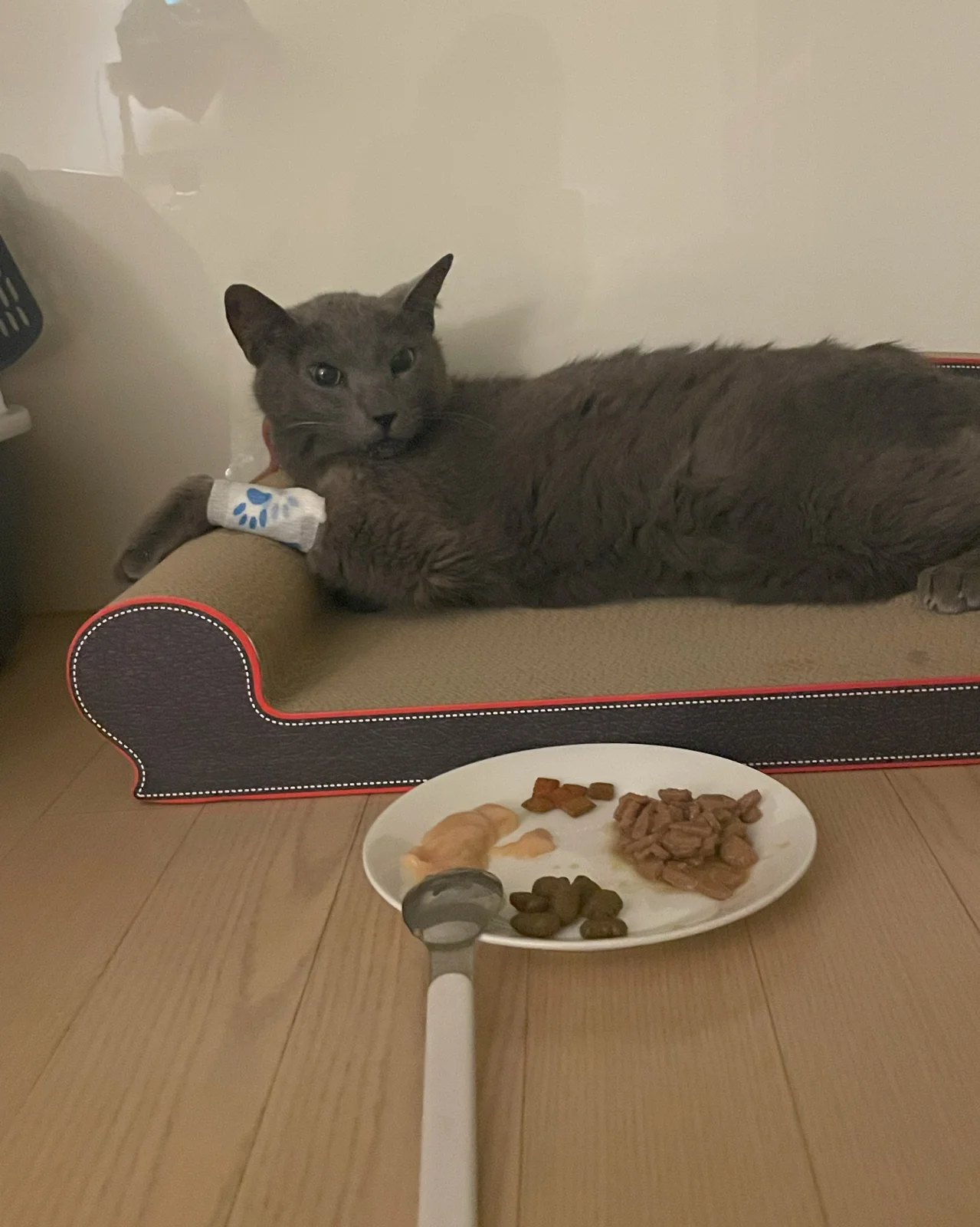 리뷰 사진 1