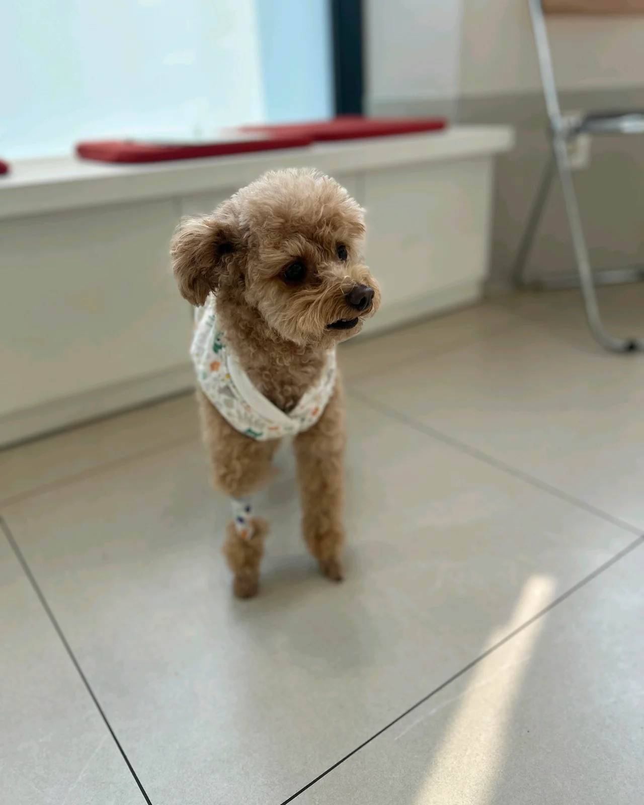 리뷰 사진 2