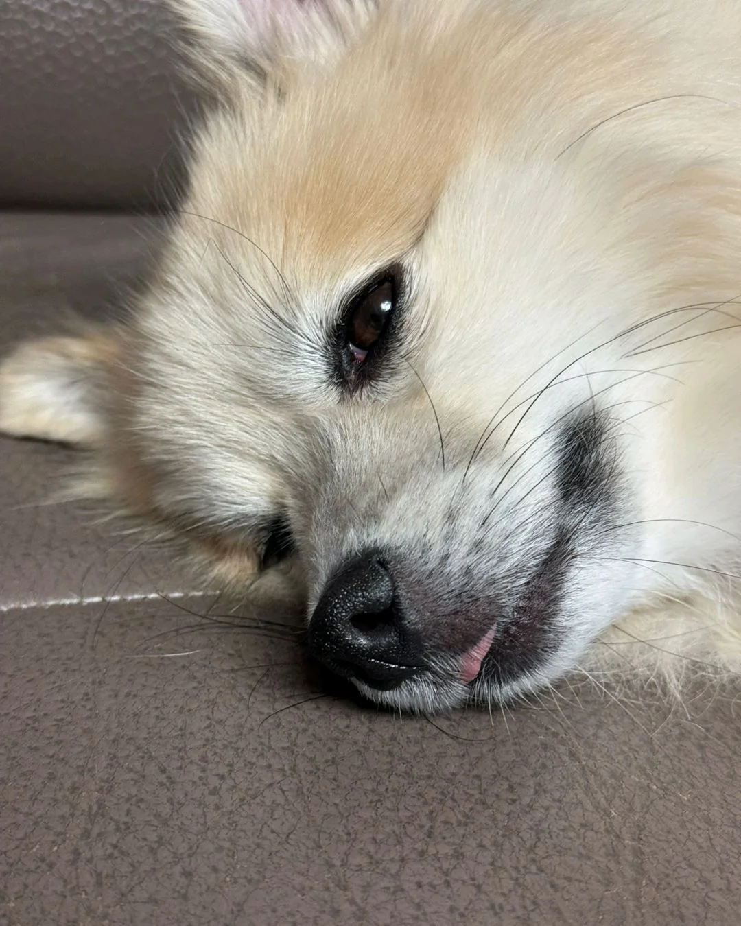 리뷰 사진 2