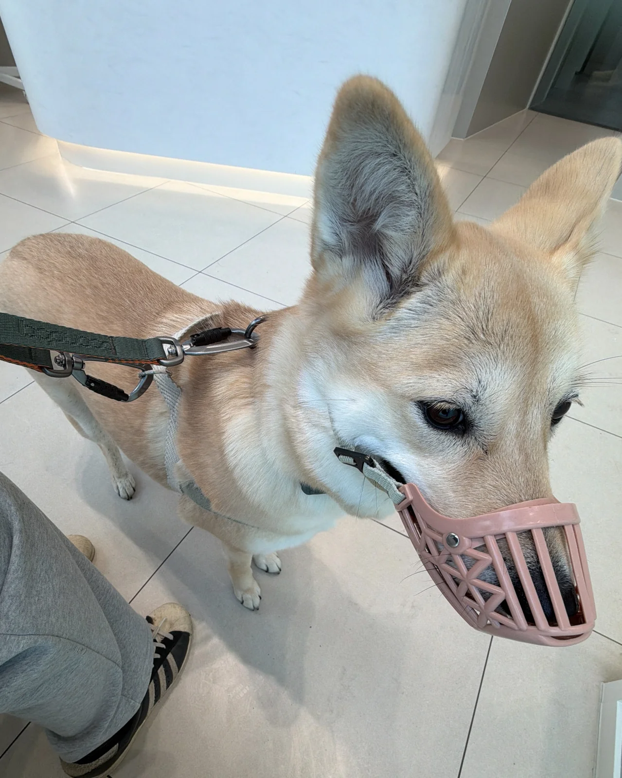 리뷰 사진 1