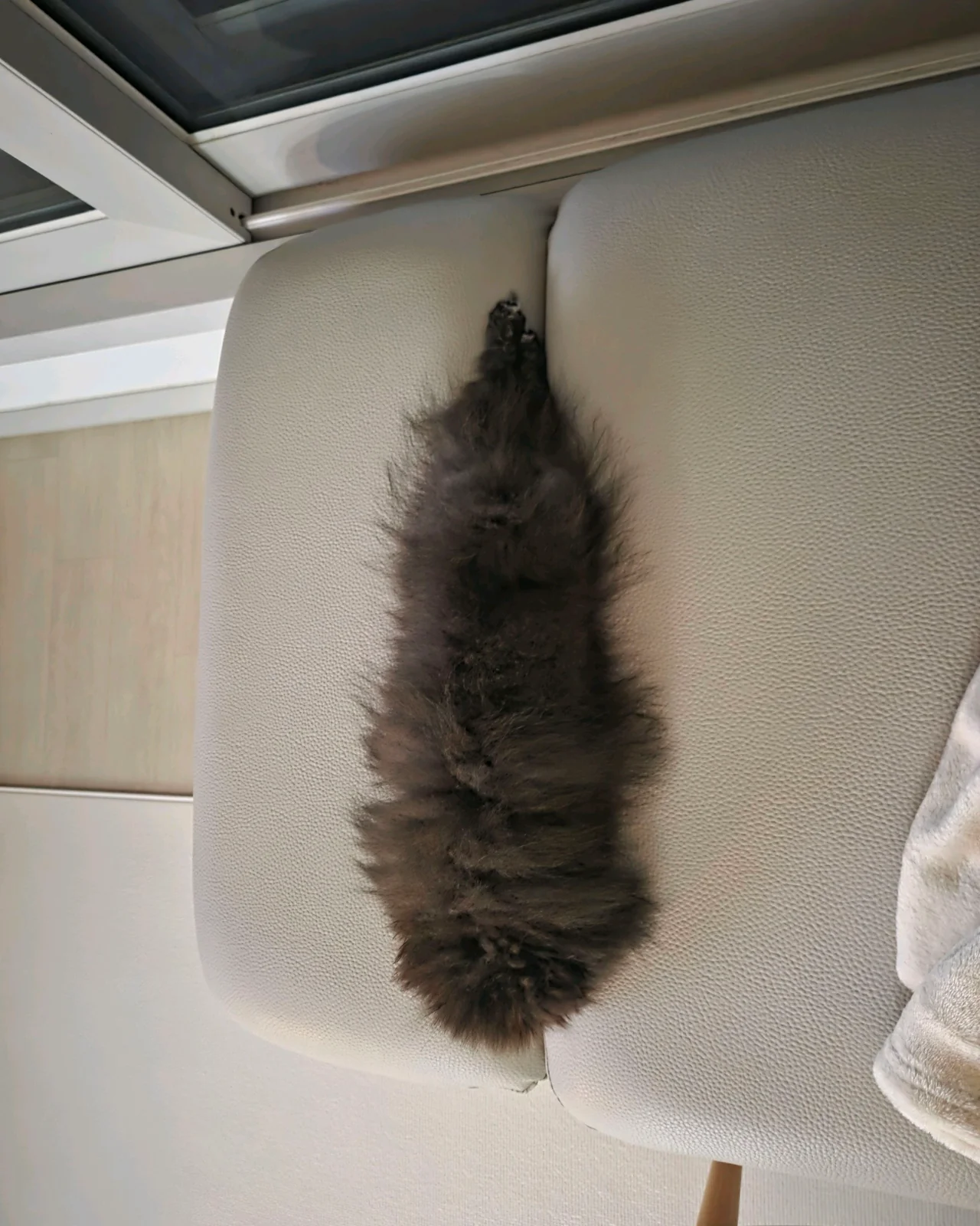 리뷰 사진 1
