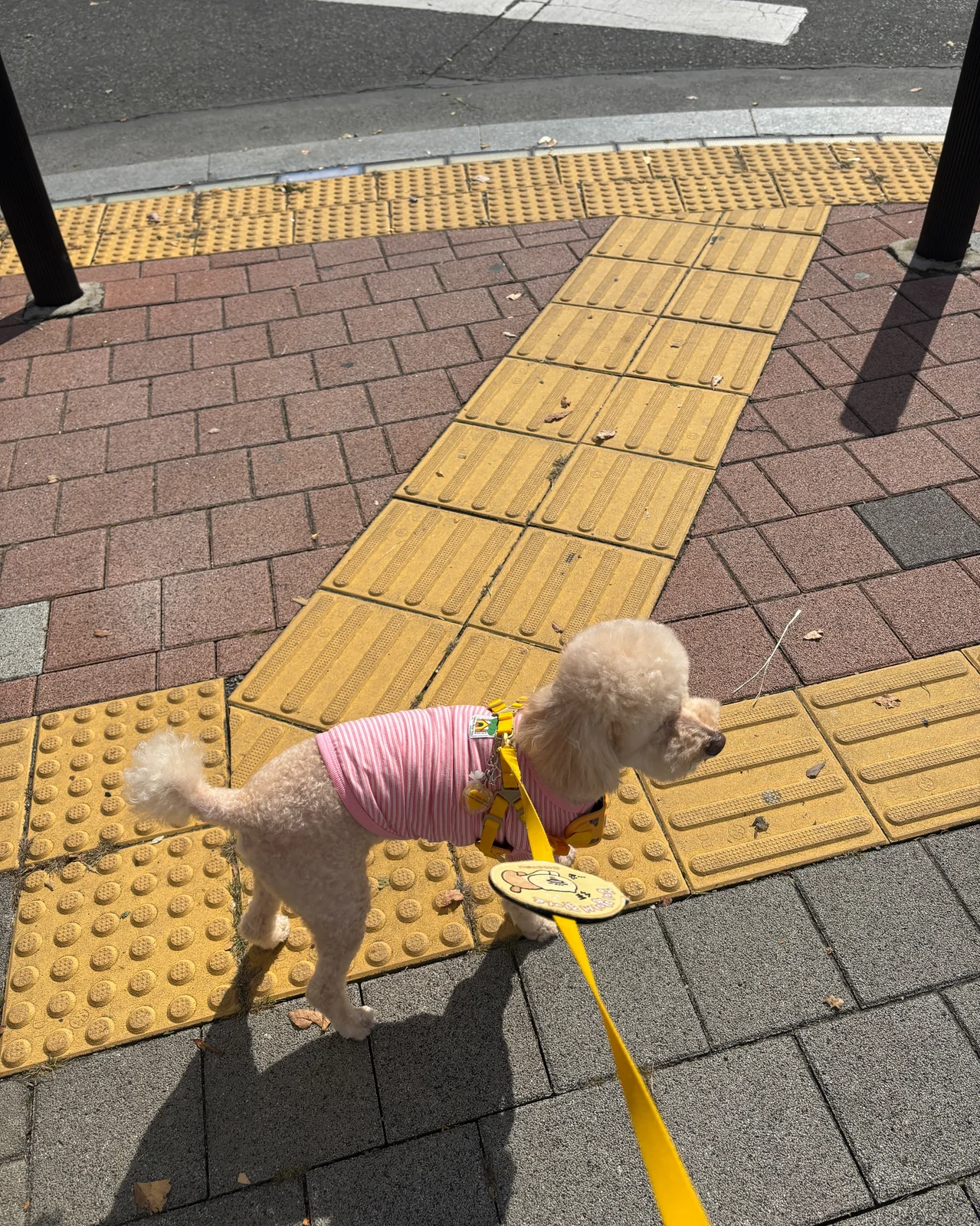 리뷰 사진 1