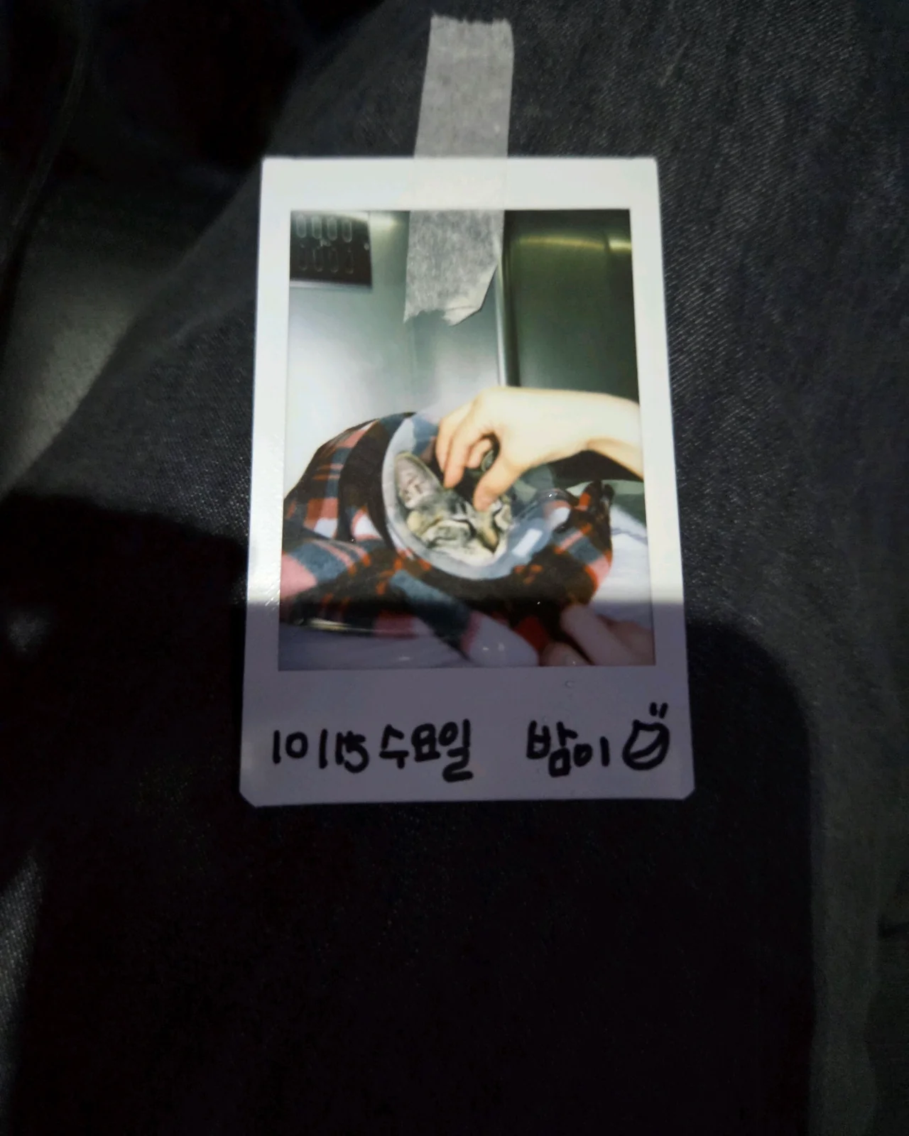 리뷰 사진 2