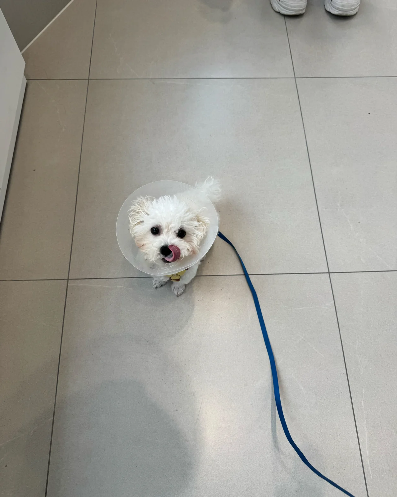 리뷰 사진 2