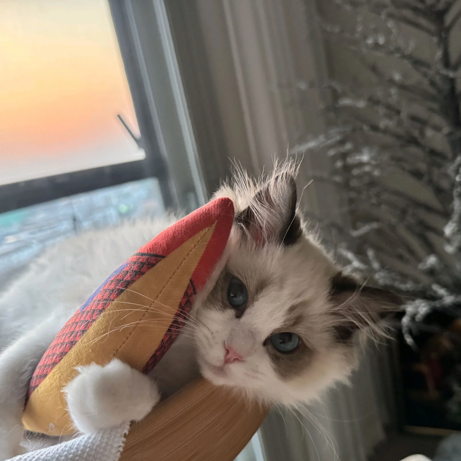 리뷰 사진 1