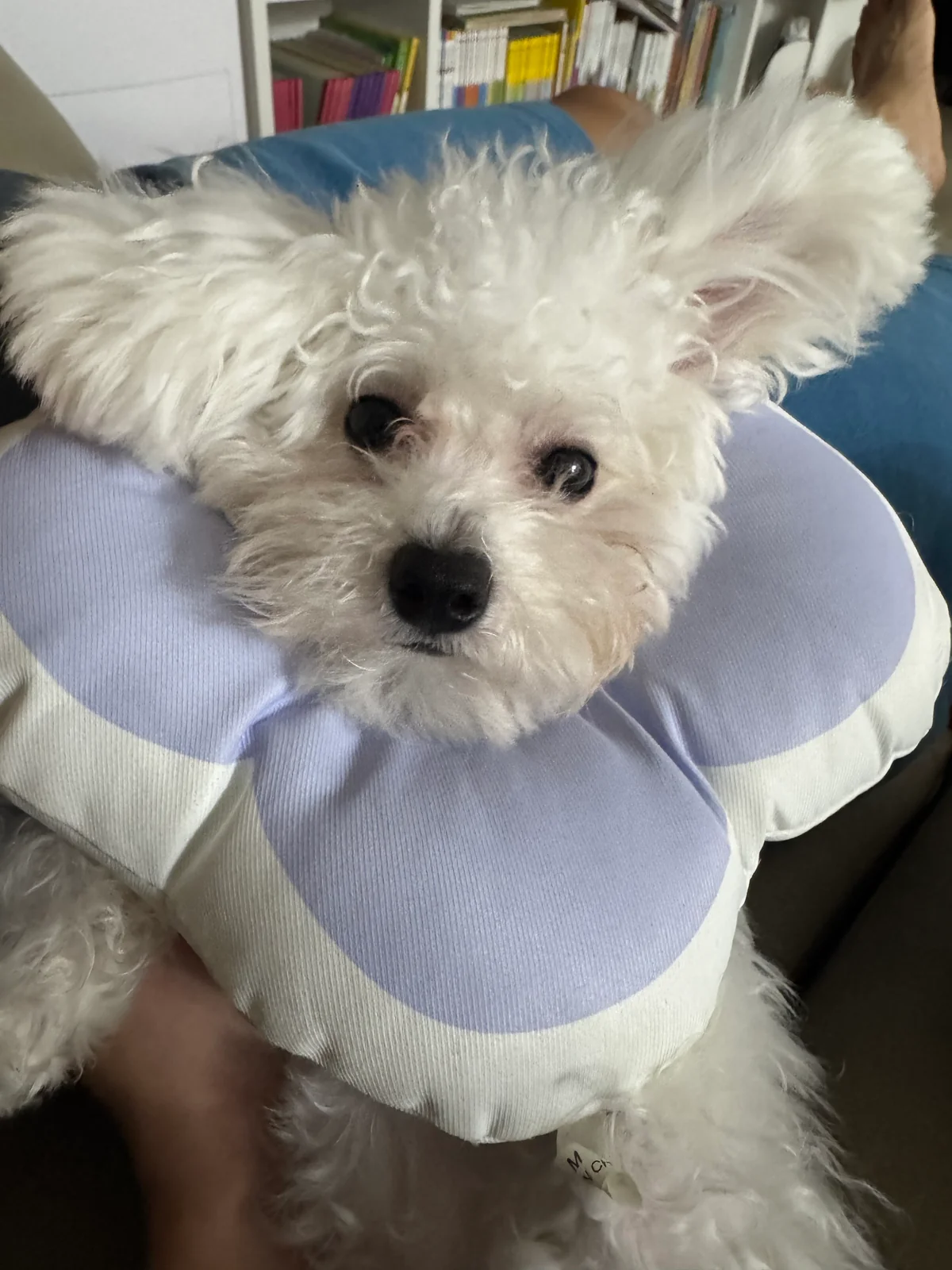 리뷰 사진 1