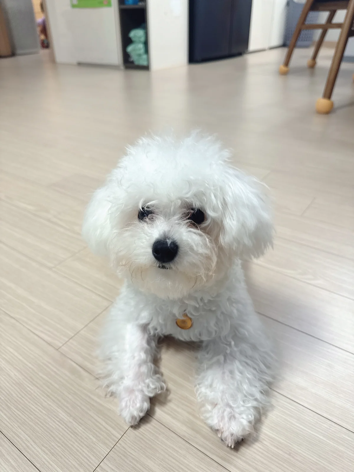 리뷰 사진 2