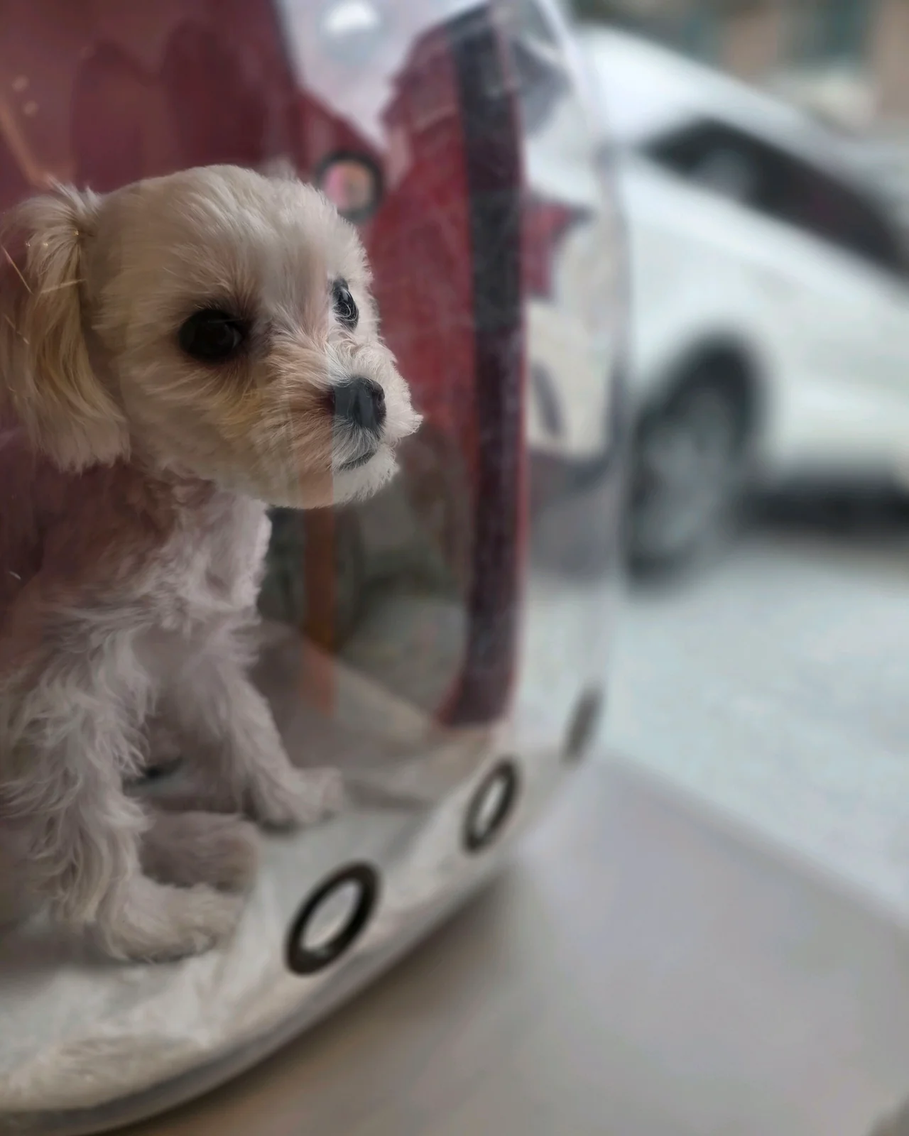 리뷰 사진 4