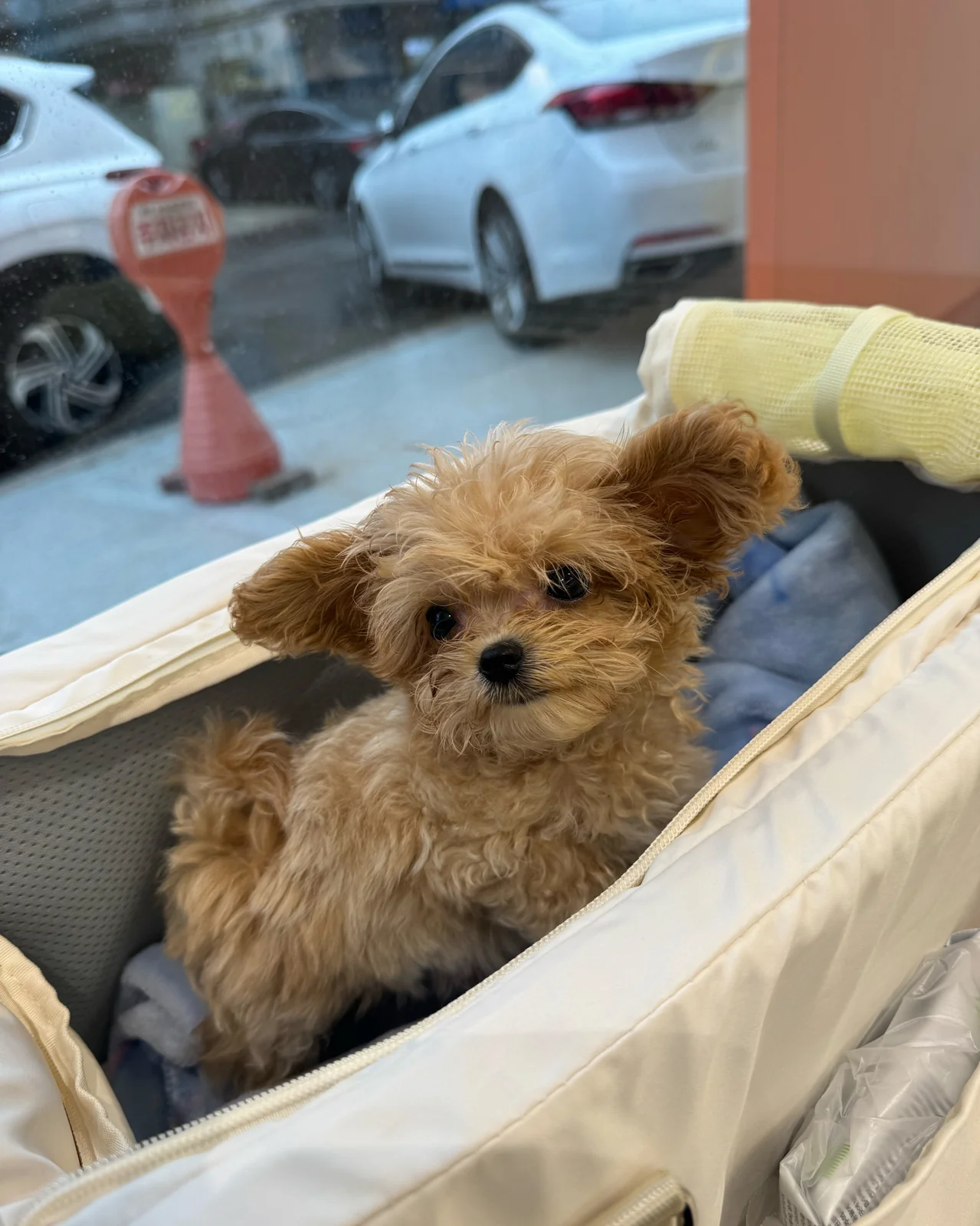 리뷰 사진 1