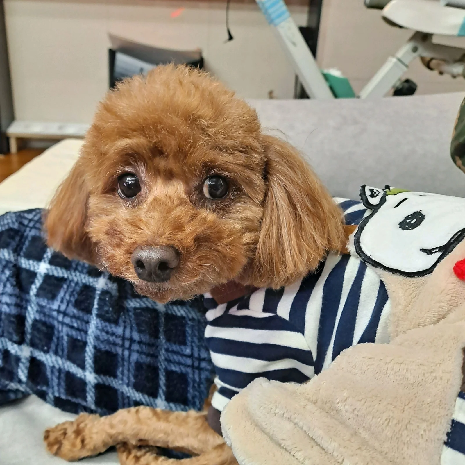 리뷰 사진 1